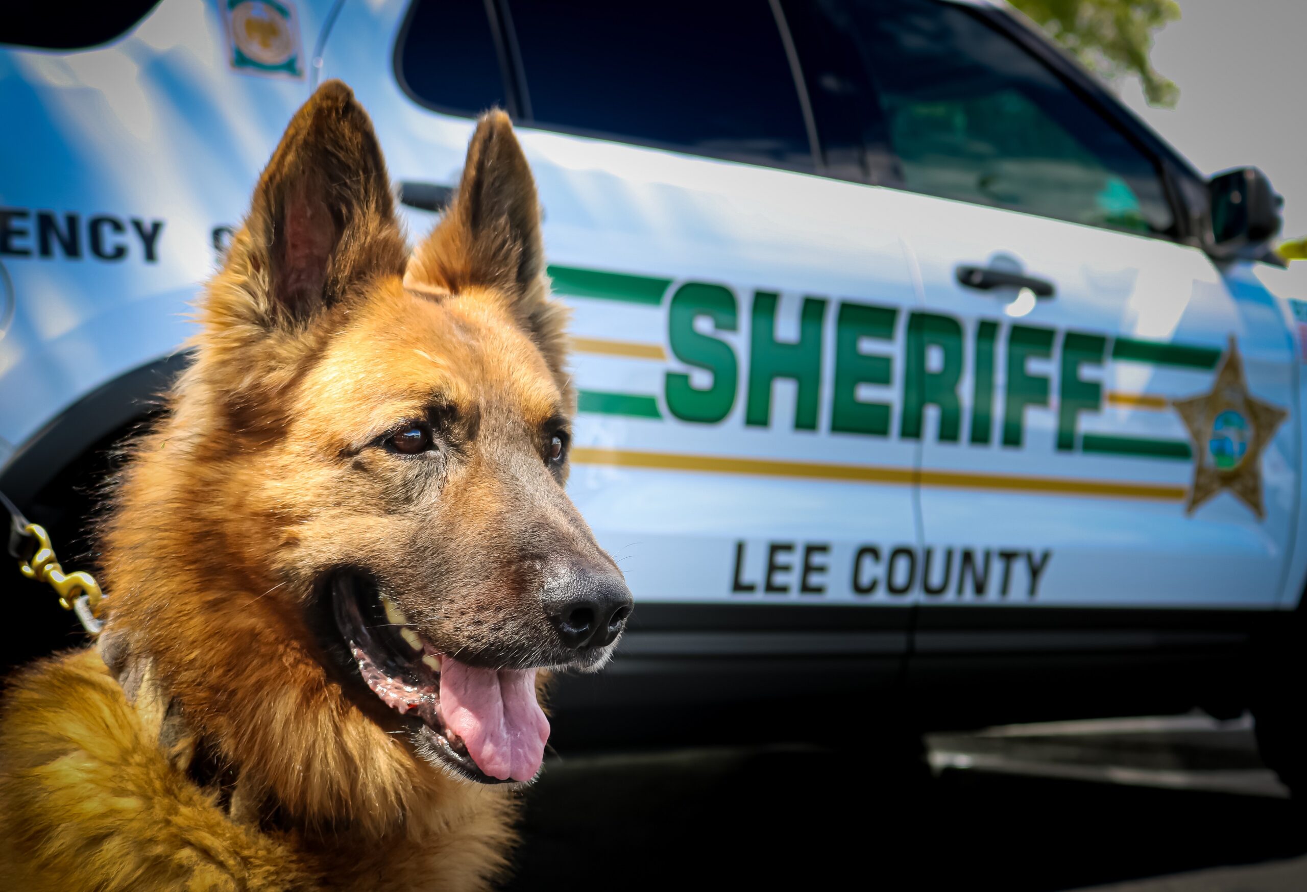 K 9 Unit Lee County Sheriffs Office 