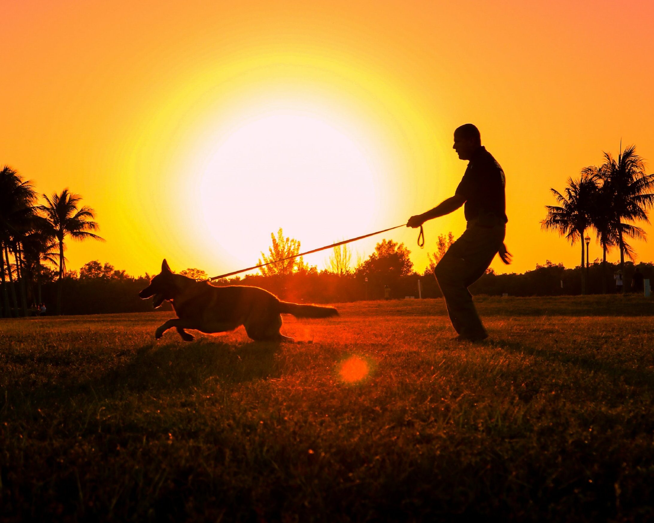 cropped-K9-Unit-scaled-1.jpg a man and a dog running in the sunset
