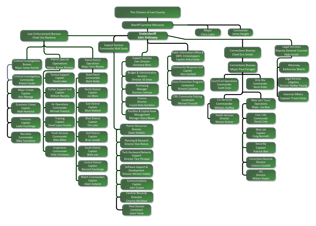 Org Chart example image 