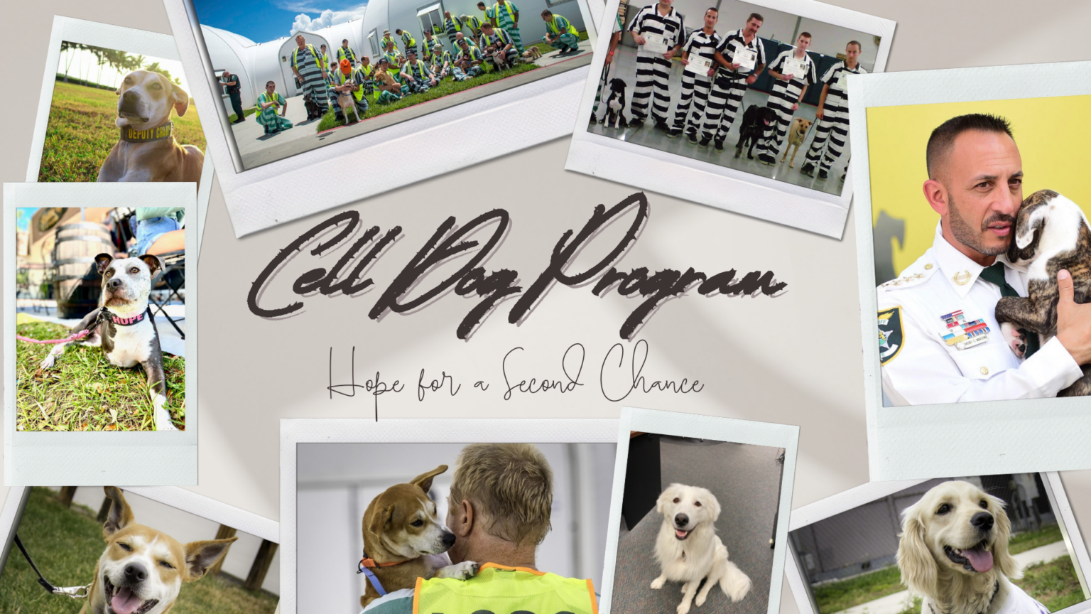 Cell Dog Program Banner