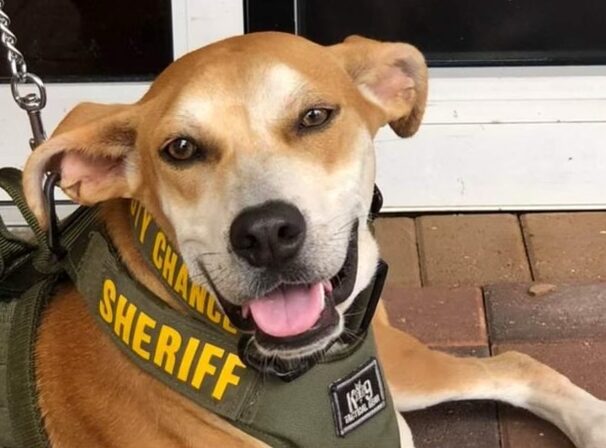 deputy chance